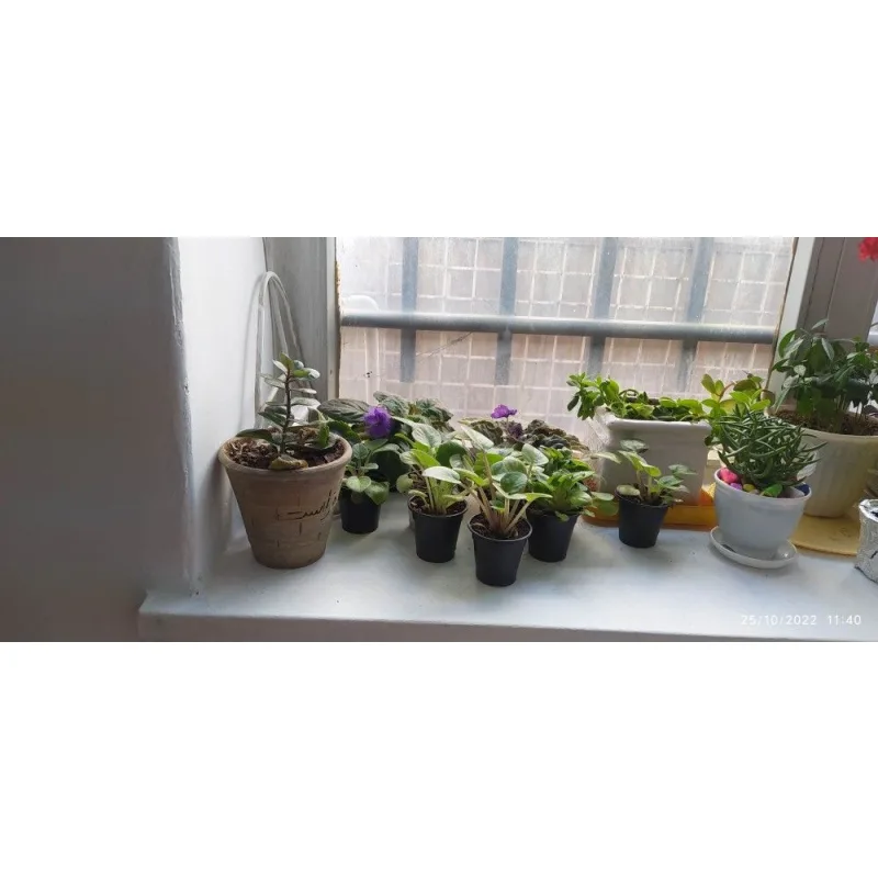 دبستان پسرانه شهید بهشتی