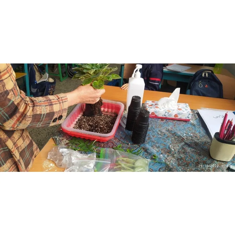 دبستان پسرانه شهید بهشتی