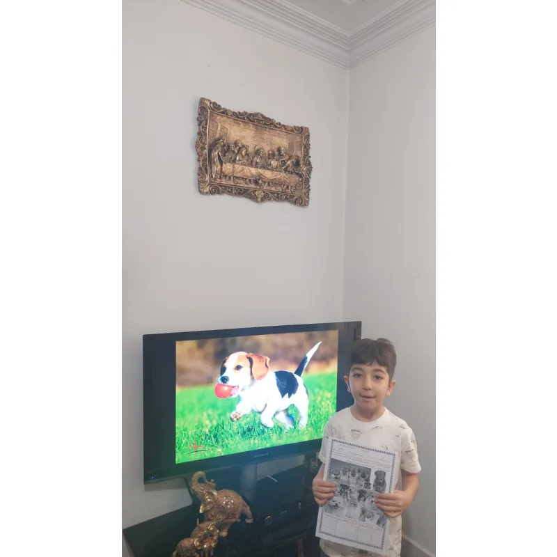 دبستان پسرانه شهید بهشتی